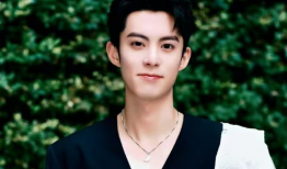 吃瓜娱乐圈王鹤棣,娱乐圈的瓜田新秀，魅力四射的青春偶像